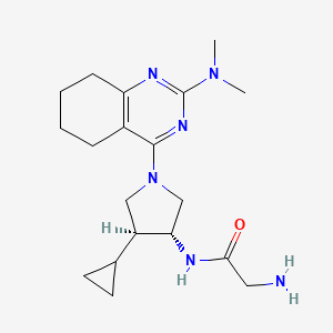 molecular formula C19H30N6O B5689437 N~1~-{rel-(3R,4S)-4-cyclopropyl-1-[2-(dimethylamino)-5,6,7,8-tetrahydro-4-quinazolinyl]-3-pyrrolidinyl}glycinamide dihydrochloride 