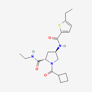 molecular formula C19H27N3O3S B5689720 (4R)-1-(cyclobutylcarbonyl)-N-ethyl-4-{[(5-ethyl-2-thienyl)carbonyl]amino}-L-prolinamide 