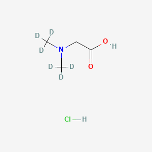 molecular formula C4H10ClNO2 B569004 N,N-Dimethyl-d6-glycine hydrochloride CAS No. 347840-03-3