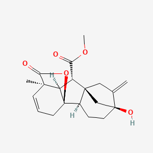 molecular formula C20H24O5 B569017 Gibberellin A5 methyl ester CAS No. 15355-45-0