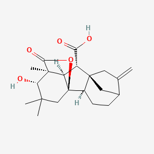 molecular formula C21H28O5 B569018 2,2-Dimethyl Gibberellin A4 CAS No. 79035-06-6