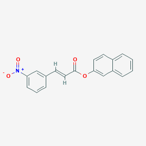 molecular formula C19H13NO4 B5690213 2-naphthyl 3-(3-nitrophenyl)acrylate 