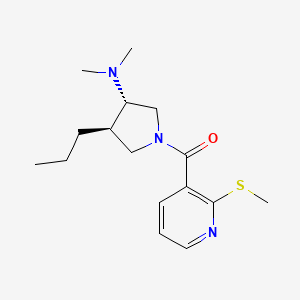 molecular formula C16H25N3OS B5690459 (3S*,4R*)-N,N-dimethyl-1-{[2-(methylthio)pyridin-3-yl]carbonyl}-4-propylpyrrolidin-3-amine 