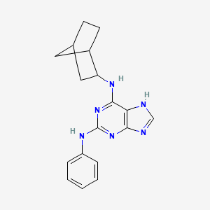 2-phenyl-amino-N6-endo-norbornyladenine
