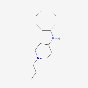 molecular formula C16H32N2 B5690926 N-cyclooctyl-1-propyl-4-piperidinamine 