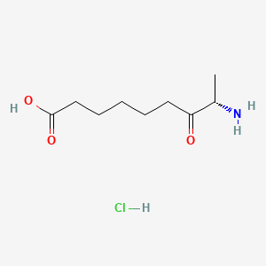 molecular formula C9H18ClNO3 B569156 (S)-8-amino-7-oxononanoic acid hydrochloride CAS No. 177408-65-0