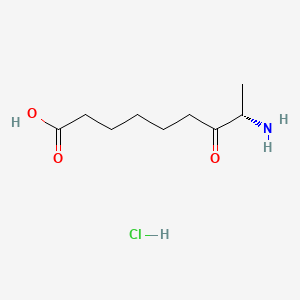 molecular formula C9H17NO3 B569156 (S)-8-amino-7-oxononanoic acid hydrochloride CAS No. 177408-65-0