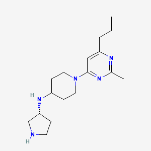 molecular formula C17H29N5 B5691771 1-(2-methyl-6-propyl-4-pyrimidinyl)-N-[(3R)-3-pyrrolidinyl]-4-piperidinamine dihydrochloride 