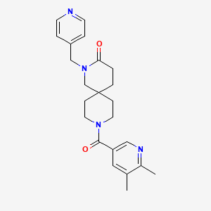 molecular formula C23H28N4O2 B5691921 9-[(5,6-dimethylpyridin-3-yl)carbonyl]-2-(pyridin-4-ylmethyl)-2,9-diazaspiro[5.5]undecan-3-one 