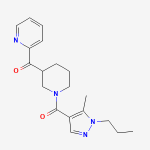 molecular formula C19H24N4O2 B5692275 {1-[(5-methyl-1-propyl-1H-pyrazol-4-yl)carbonyl]-3-piperidinyl}(2-pyridinyl)methanone 