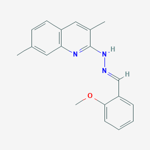 molecular formula C19H19N3O B5692319 2-methoxybenzaldehyde (3,7-dimethyl-2-quinolinyl)hydrazone 