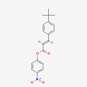 molecular formula C19H19NO4 B5692980 4-nitrophenyl 3-(4-tert-butylphenyl)acrylate 