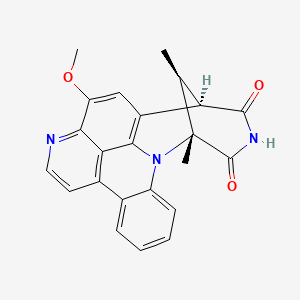 molecular formula C23H19N3O3 B569309 Segoline B CAS No. 122795-54-4