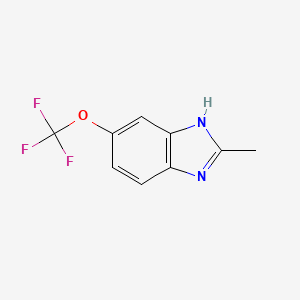 molecular formula C9H7F3N2O B569401 2-甲基-5-(三氟甲氧基)-1H-苯并[d]咪唑 CAS No. 114164-97-5