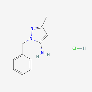 molecular formula C11H14ClN3 B569642 1-苄基-3-甲基-1H-吡唑-5-胺盐酸盐 CAS No. 1195671-98-7