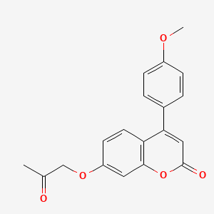 molecular formula C19H16O5 B5696540 4-(4-methoxyphenyl)-7-(2-oxopropoxy)-2H-chromen-2-one 