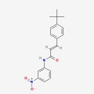 molecular formula C19H20N2O3 B5696725 3-(4-tert-butylphenyl)-N-(3-nitrophenyl)acrylamide 