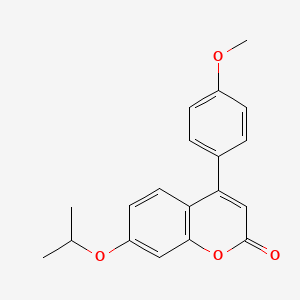 molecular formula C19H18O4 B5697052 7-isopropoxy-4-(4-methoxyphenyl)-2H-chromen-2-one 