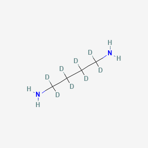 molecular formula C4H12N2 B569718 1,4-丁烷-D8-二胺 CAS No. 709608-92-4