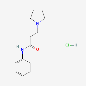 molecular formula C13H19ClN2O B5698533 N-phenyl-3-(1-pyrrolidinyl)propanamide hydrochloride CAS No. 1052530-16-1