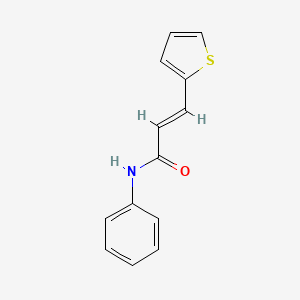 molecular formula C13H11NOS B5698609 N-苯基-3-(2-噻吩基)丙烯酰胺 