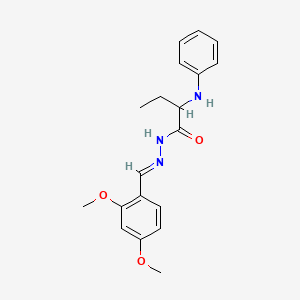 molecular formula C19H23N3O3 B5698806 2-anilino-N'-(2,4-dimethoxybenzylidene)butanohydrazide 