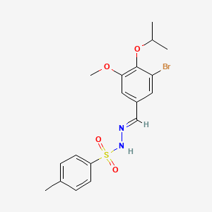 molecular formula C18H21BrN2O4S B5699382 N'-(3-bromo-4-isopropoxy-5-methoxybenzylidene)-4-methylbenzenesulfonohydrazide 