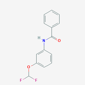 molecular formula C14H11F2NO2 B5699504 N-[3-(difluoromethoxy)phenyl]benzamide 