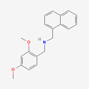 molecular formula C20H21NO2 B5699536 (2,4-dimethoxybenzyl)(1-naphthylmethyl)amine 