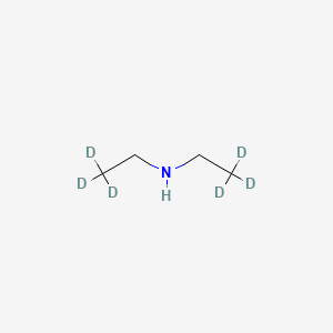 molecular formula C4H11N B569968 二乙基-d6-胺 CAS No. 51045-01-3