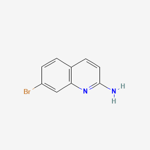 molecular formula C9H7BrN2 B569969 7-溴喹啉-2-胺 CAS No. 116632-53-2