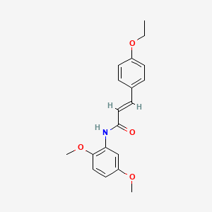molecular formula C19H21NO4 B5699903 N-(2,5-dimethoxyphenyl)-3-(4-ethoxyphenyl)acrylamide 