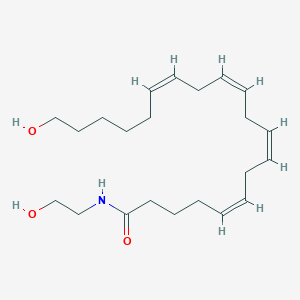 molecular formula C22H37NO3 B570077 20-HETE 乙醇胺 CAS No. 942069-11-6