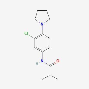 N-[3-chloro-4-(1-pyrrolidinyl)phenyl]-2-methylpropanamide