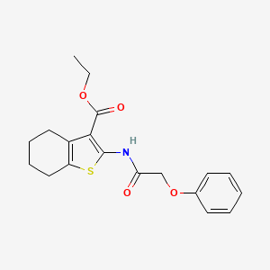 molecular formula C19H21NO4S B5701780 ethyl 2-[(phenoxyacetyl)amino]-4,5,6,7-tetrahydro-1-benzothiophene-3-carboxylate 