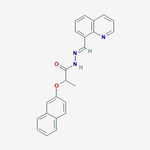molecular formula C23H19N3O2 B5702150 2-(2-naphthyloxy)-N'-(8-quinolinylmethylene)propanohydrazide 