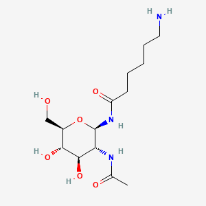 molecular formula C14H27N3O6 B570415 2-Acetamido-N-(E-aminocarproyl)-2-deoxy-beta-D-glucopyranosylamine CAS No. 112898-10-9
