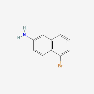 molecular formula C10H8BrN B570563 5-溴萘-2-胺 CAS No. 116400-84-1