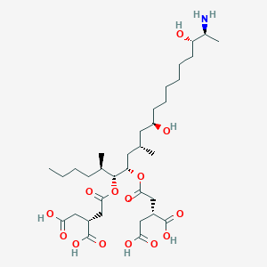 molecular formula C34H59NO14 B570569 (2R)-2-[2-[(5R,6R,7S,9S,11R,18S,19S)-19-氨基-6-[(3R)-3,4-二羧基丁酰氧基]-11,18-二羟基-5,9-二甲基二十烷-7-氧基]-2-氧代乙基]丁二酸 CAS No. 1422359-85-0