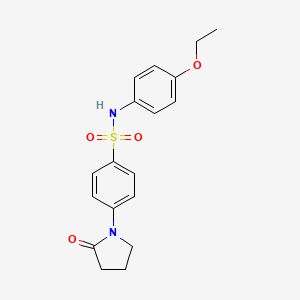 molecular formula C18H20N2O4S B5706795 N-(4-ethoxyphenyl)-4-(2-oxo-1-pyrrolidinyl)benzenesulfonamide 