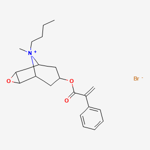 molecular formula C21H28BrNO3 B570744 阿波布斯科潘 CAS No. 92714-23-3
