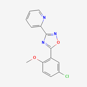 molecular formula C14H10ClN3O2 B5707508 2-[5-(5-chloro-2-methoxyphenyl)-1,2,4-oxadiazol-3-yl]pyridine 
