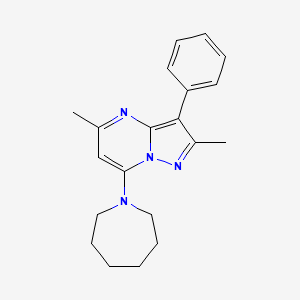 molecular formula C20H24N4 B5707600 7-(1-azepanyl)-2,5-dimethyl-3-phenylpyrazolo[1,5-a]pyrimidine 