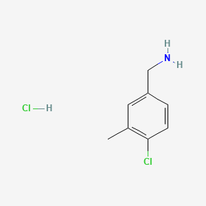 molecular formula C8H11Cl2N B570766 4-氯-3-甲基苄胺盐酸盐 CAS No. 1264198-68-6