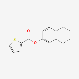 molecular formula C15H14O2S B5707955 5,6,7,8-tetrahydro-2-naphthalenyl 2-thiophenecarboxylate 