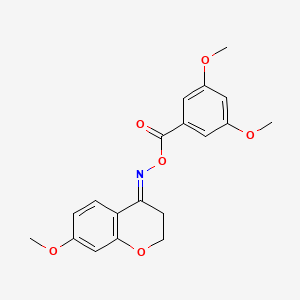 molecular formula C19H19NO6 B5708015 7-methoxy-2,3-dihydro-4H-chromen-4-one O-(3,5-dimethoxybenzoyl)oxime 