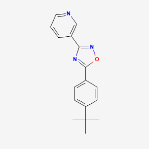 molecular formula C17H17N3O B5708265 3-[5-(4-tert-butylphenyl)-1,2,4-oxadiazol-3-yl]pyridine 
