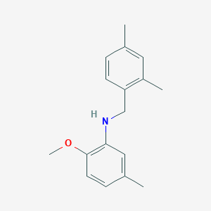 (2,4-dimethylbenzyl)(2-methoxy-5-methylphenyl)amine