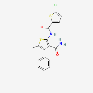 molecular formula C21H21ClN2O2S2 B5708835 N-[3-(aminocarbonyl)-4-(4-tert-butylphenyl)-5-methyl-2-thienyl]-5-chloro-2-thiophenecarboxamide 