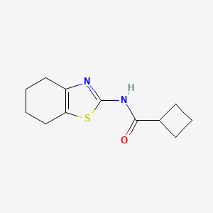 molecular formula C12H16N2OS B5710725 N-(4,5,6,7-tetrahydro-1,3-benzothiazol-2-yl)cyclobutanecarboxamide 